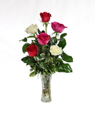 Playful - 6 assorted roses