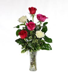 Playful - 6 assorted roses