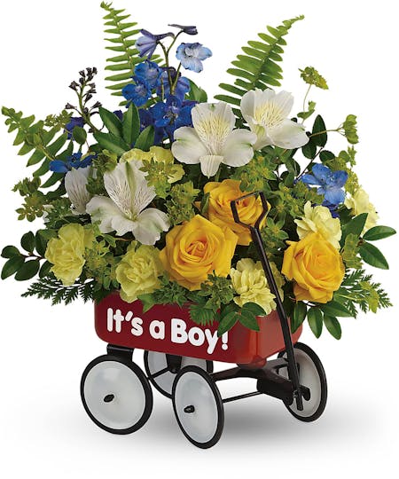 New Baby Flowers