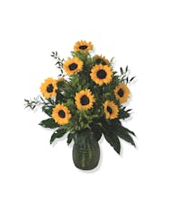 Sunflower Shimmer - 6 or 12 Sunflowers
