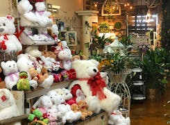 Stuffed animals and potted plants await inside our Greenville showroom