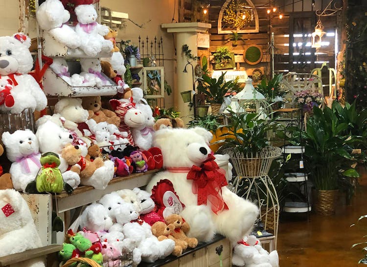 Stuffed animals and potted plants await inside our Greenville showroom
